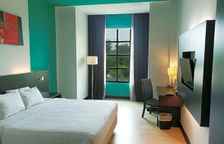 Двухместный номер Deluxe с видом на сад