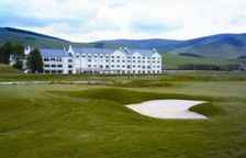 Одноместный номер Standard