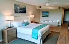 Одноместная студия с видом на сад