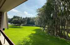 Четырёхместный полулюкс