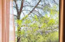 Двухместный люкс Premier