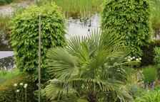 Двухместный номер Comfort с балконом