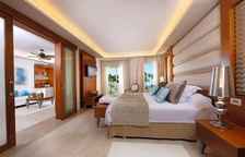 Клубная семейный люкс с джакузи Swim Up