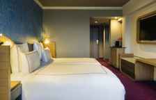 Двухместный номер Swiss Executive