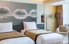 Двухместный номер Executive с балконом