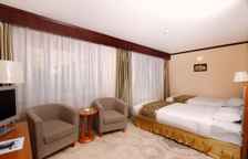 Одноместный номер Standard с видом на город