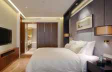 Люкс Premier с видом на город