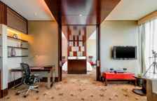 Двухместный люкс Club Lounge Access Renewal с видом на город