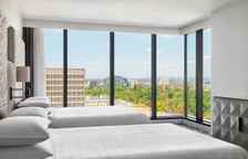 Четырёхместный номер Standard с видом на сад