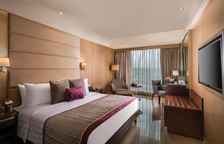 Одноместный номер Executive