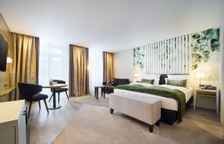 Номер Premium с балконом и с видом на парк