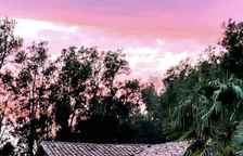 Одноместный коттедж