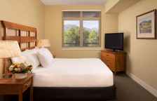 Люкс с 2 комнатами с видом на горы