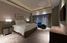 Двухместный номер Deluxe с видом на город