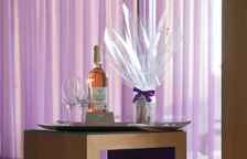 Двухместный полулюкс