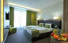 Двухместный номер Standard с балконом