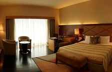 Двухместный люкс Luxury с видом на сад