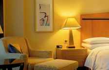 Полулюкс c 1 комнатой