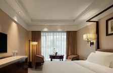 Двухместный номер Standard с видом на город