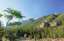 Одноместный номер Standard