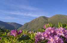 Люкс с 2 комнатами