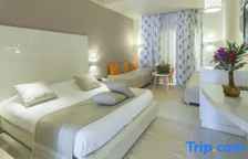 Трёхместный номер Standard с видом на сад