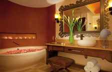 Двухместный полулюкс с видом на сад