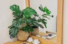 Одноместный номер Superior