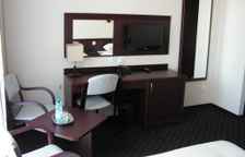 Одноместный номер Standard