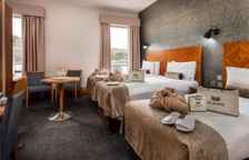 Трёхместный номер Standard