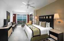 Полулюкс Platinum