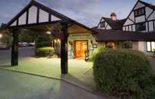 Одноместный полулюкс