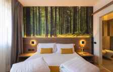 Двухместный номер Comfort с балконом