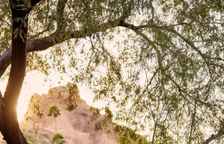 Двухместный люкс