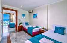 Одноместный номер Standard с видом на сад