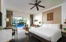 Двухместный номер Pool Access Deluxe Lagoon