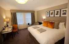 Двухместный номер Executive