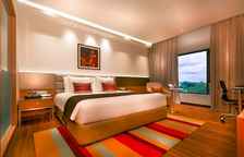 Одноместный номер Business