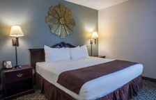 Одноместная студия