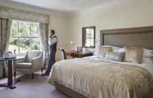 Двухместный номер Deluxe с видом на сад