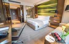 Номер Deluxe с видом на горы