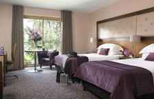 Двухместный номер Deluxe