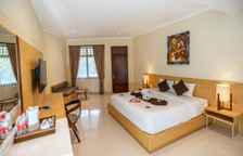 Одноместный номер Superior c 1 комнатой