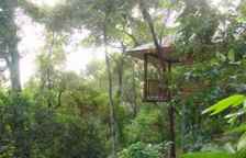 Двухместное бунгало