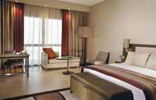 Двухместная просторная студия