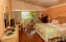 Одноместный люкс с видом на сад