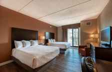 Четырёхместный номер Standard с видом на парк