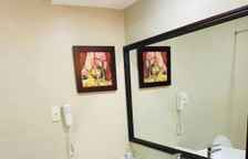 Номер Premier с видом на сад