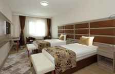 Одноместный номер Economy