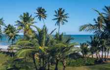 Одноместный полулюкс oceanfront